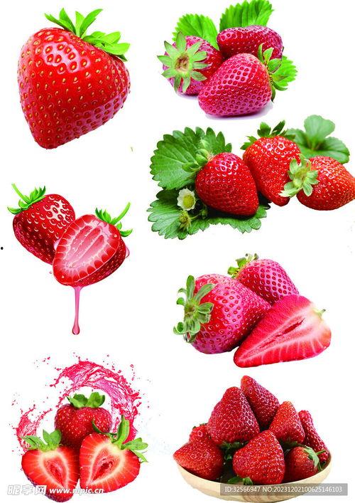 草莓的资料,营养与种植全解析