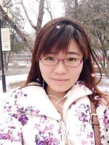 文文资料,探索历史与现实的交织